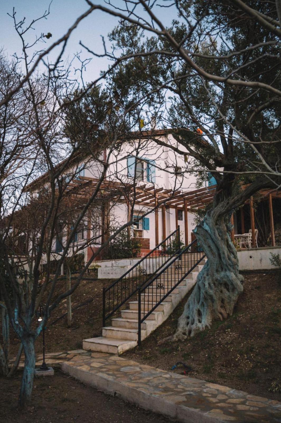Od Urla Misafirhane Bagian luar foto