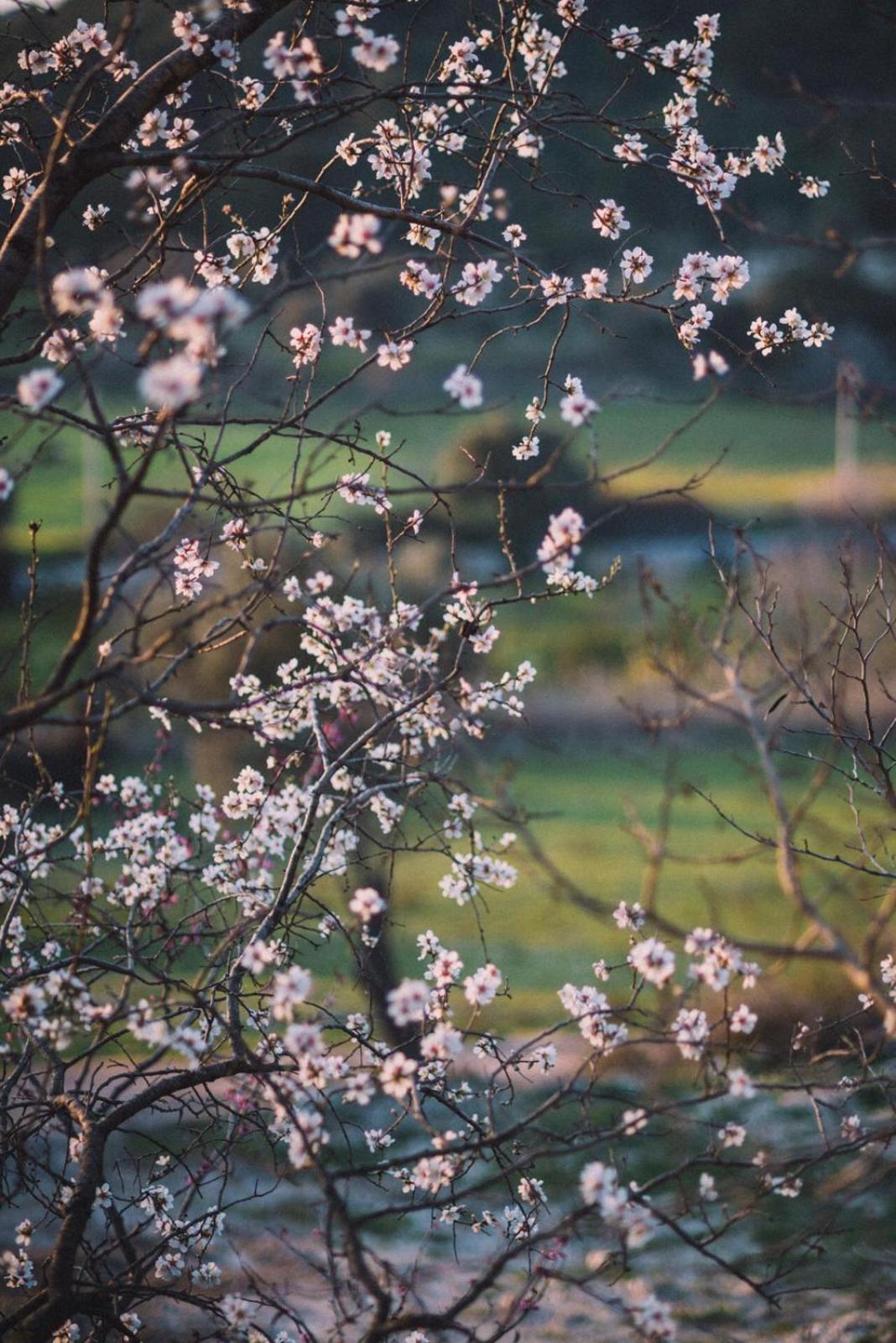 Od Urla Misafirhane Bagian luar foto