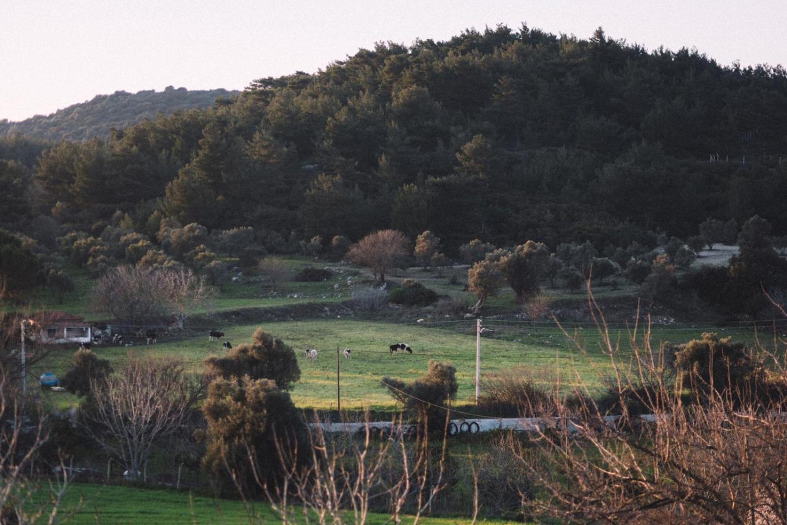 Od Urla Misafirhane Bagian luar foto
