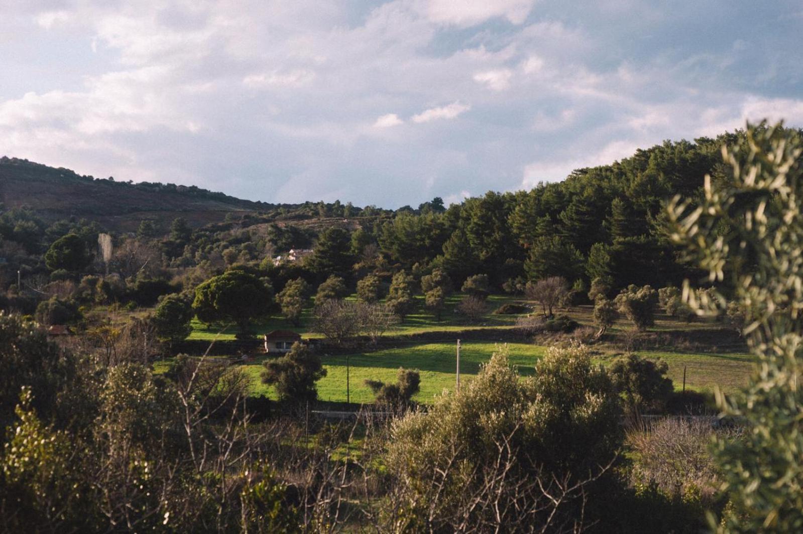 Od Urla Misafirhane Bagian luar foto